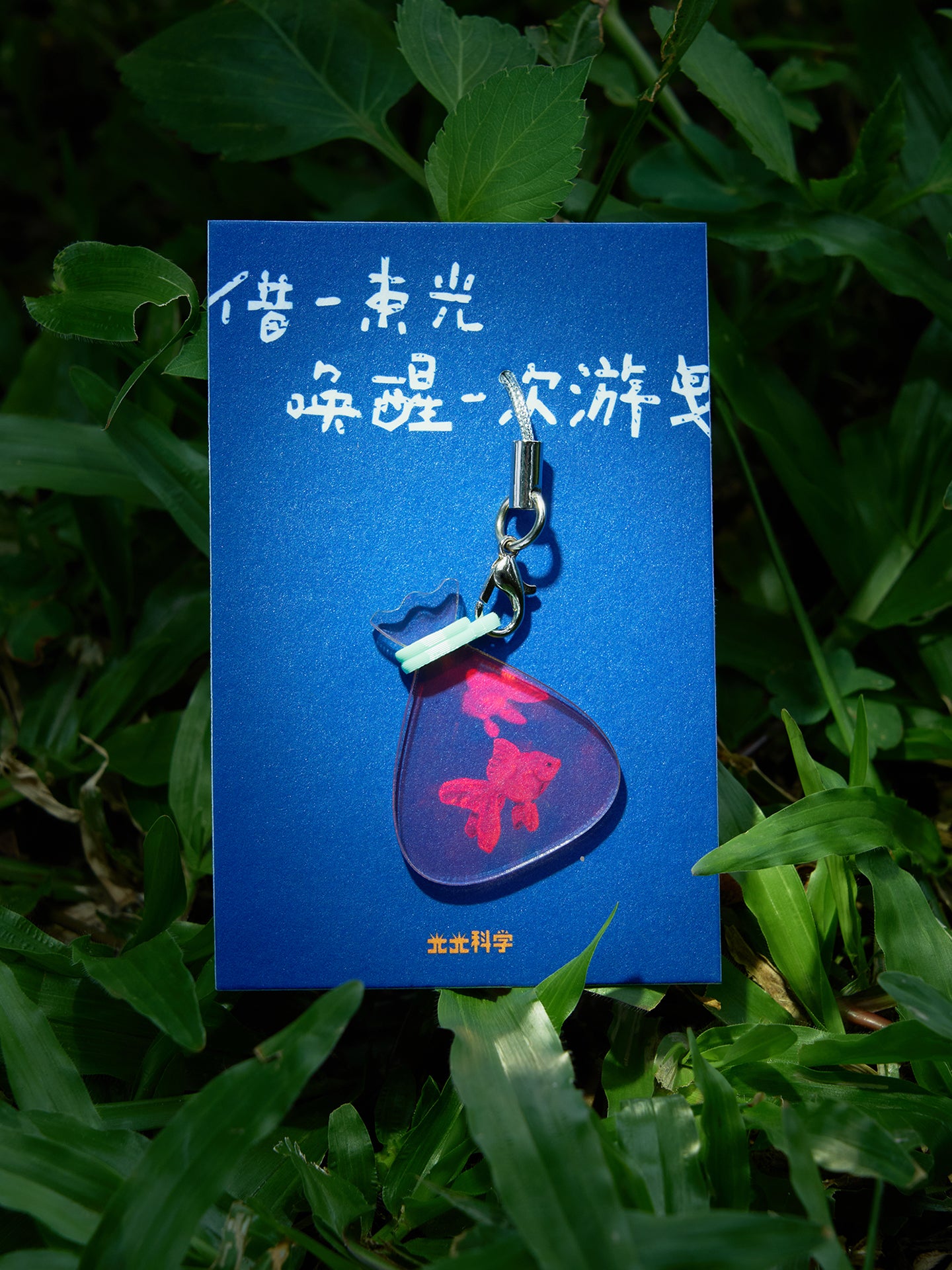 Mini Holographic Goldfish Charms | Lucky Fish Collection